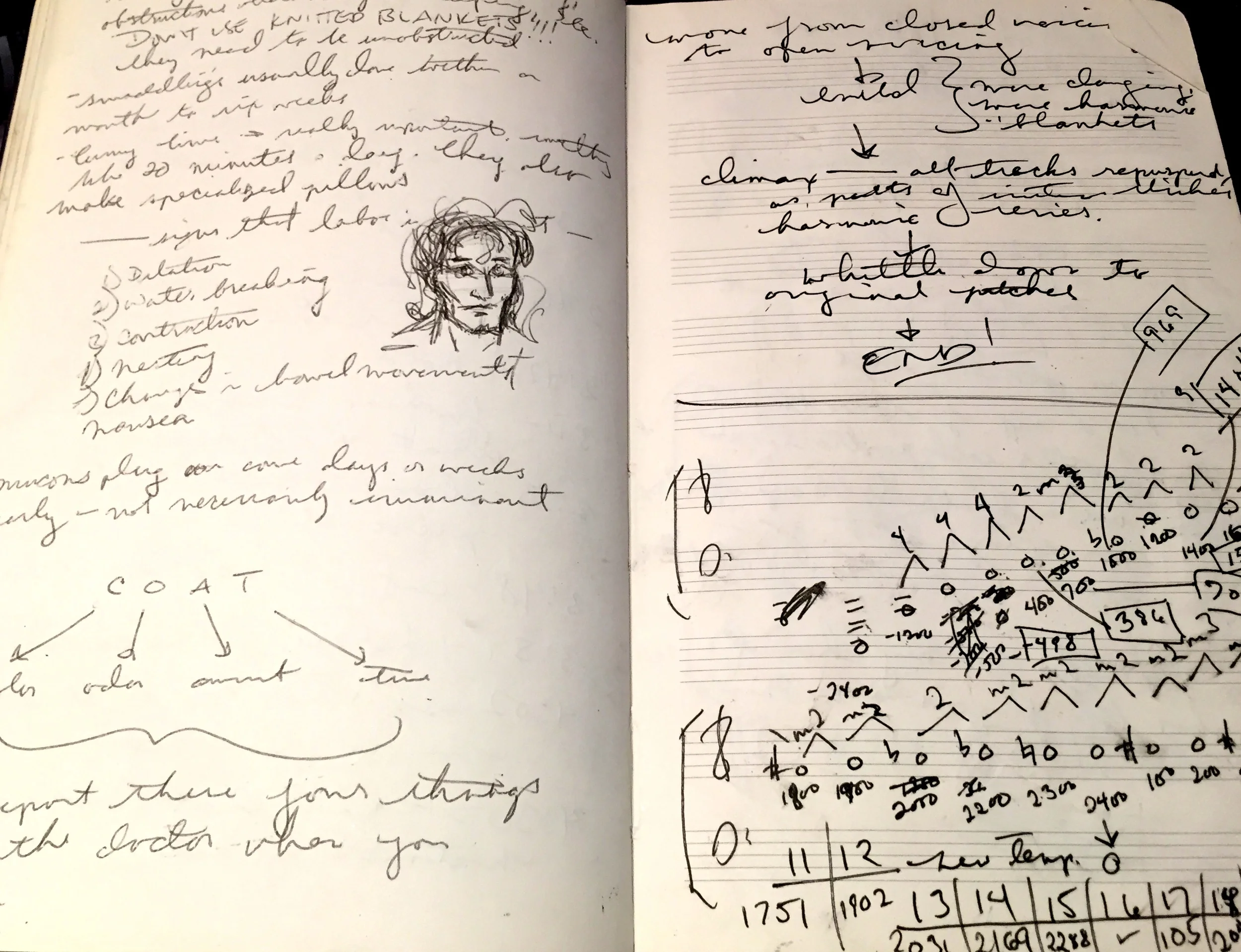 Left: Notes from our "birthing class" at Mount Auburn Hospital (where our son was born a few months later); Right: Figuring out the ending to STEEL SYMPHONY