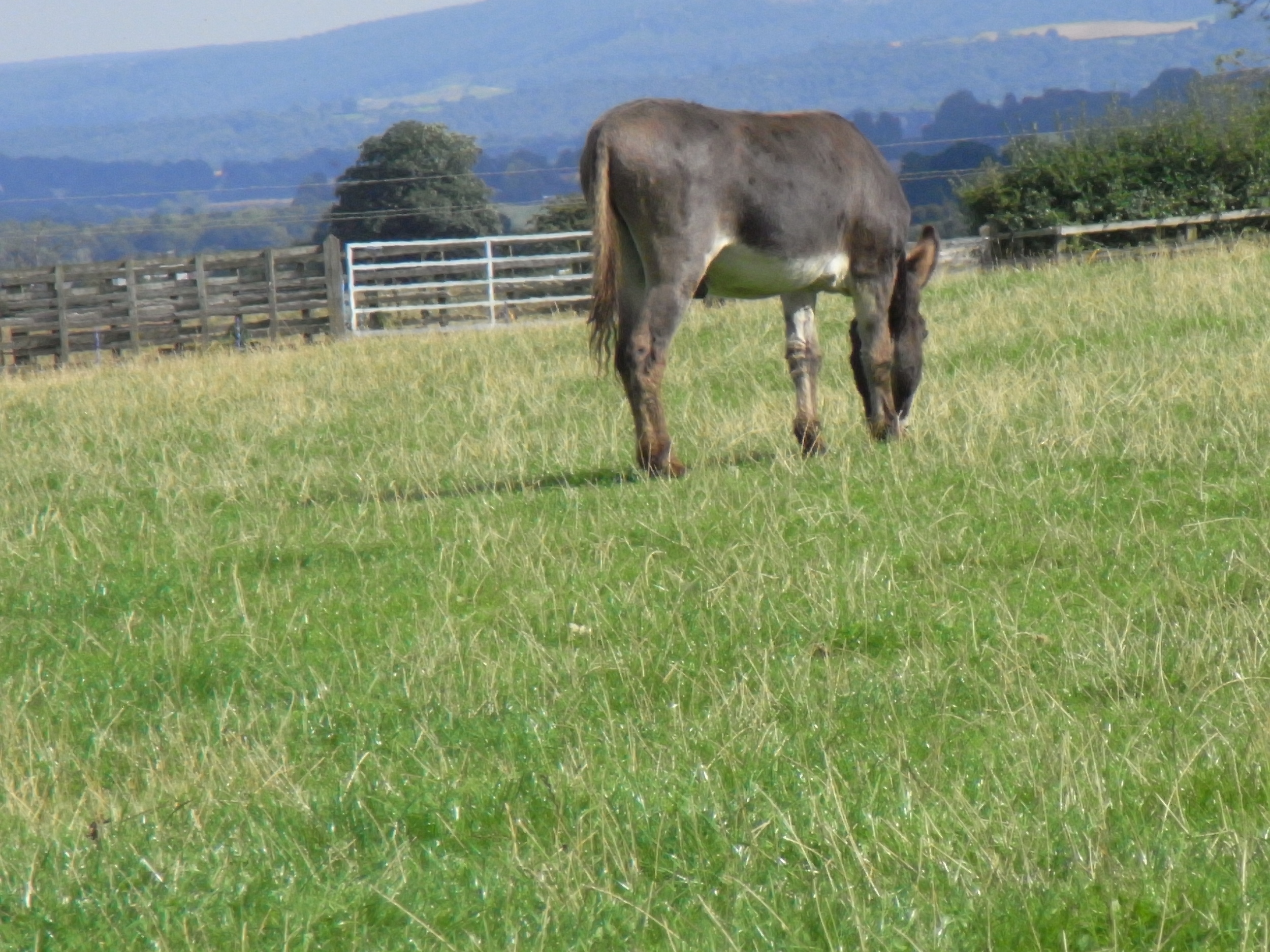 Farmhouse Neighbour