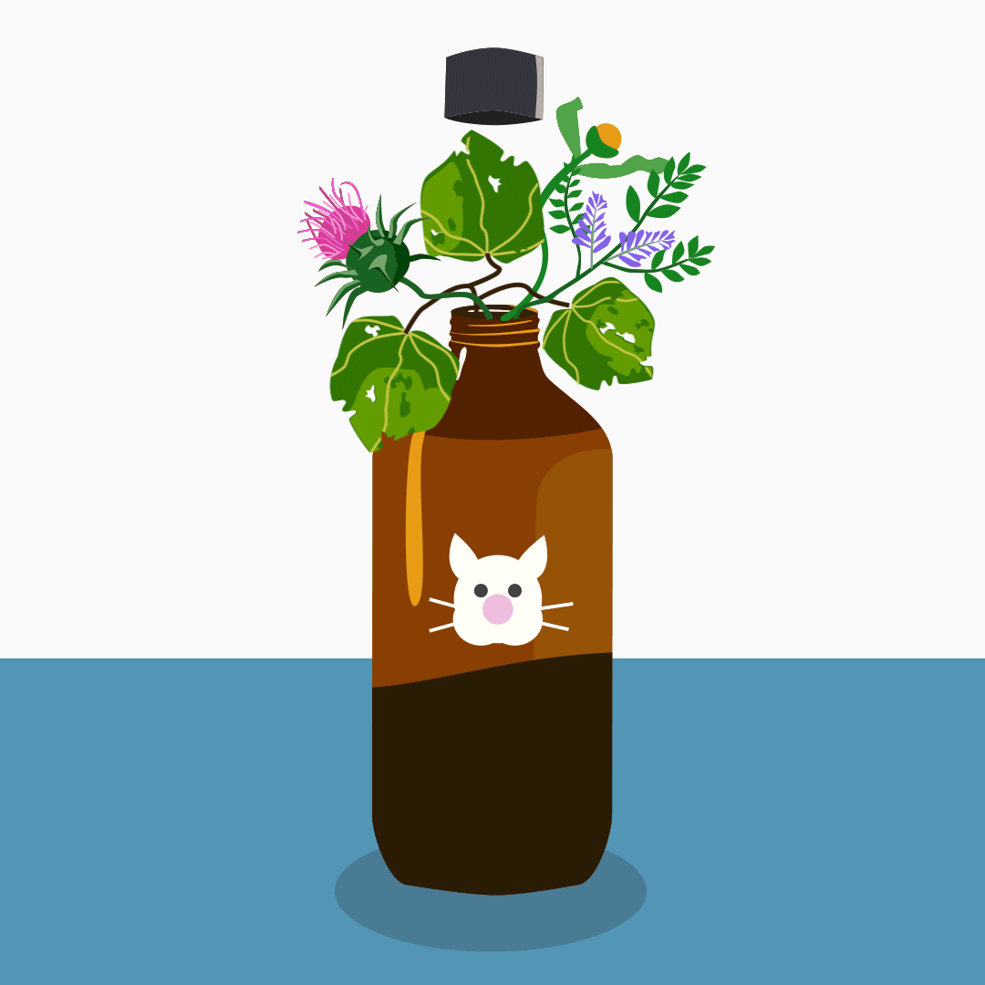 GIF FOR SOCIAL MEDIA / VETERINARY HOLISTIC HEALTHCARE