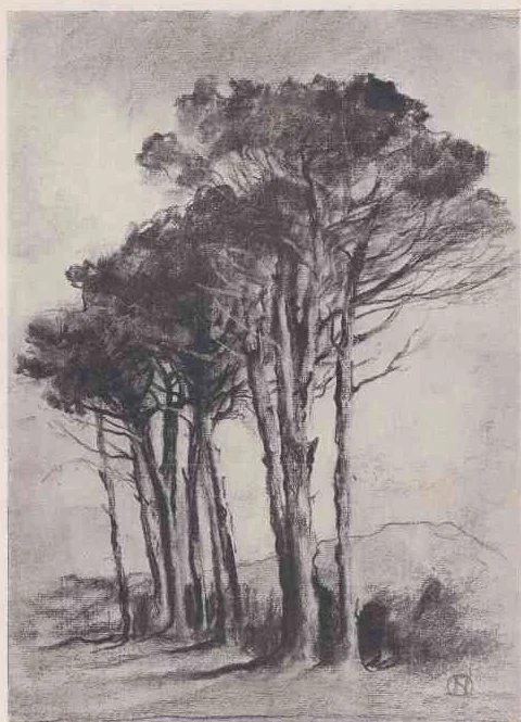 Study of Trees, illustrated in Roworth's essay on SA landscape art, 1917