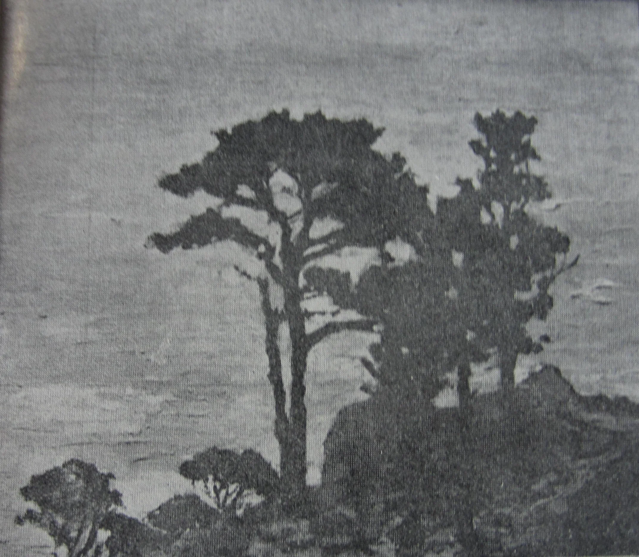 Illustration of "Eensame Plek" (Lonely place) in Kuns in Suid Afrika by A.C. Bouman