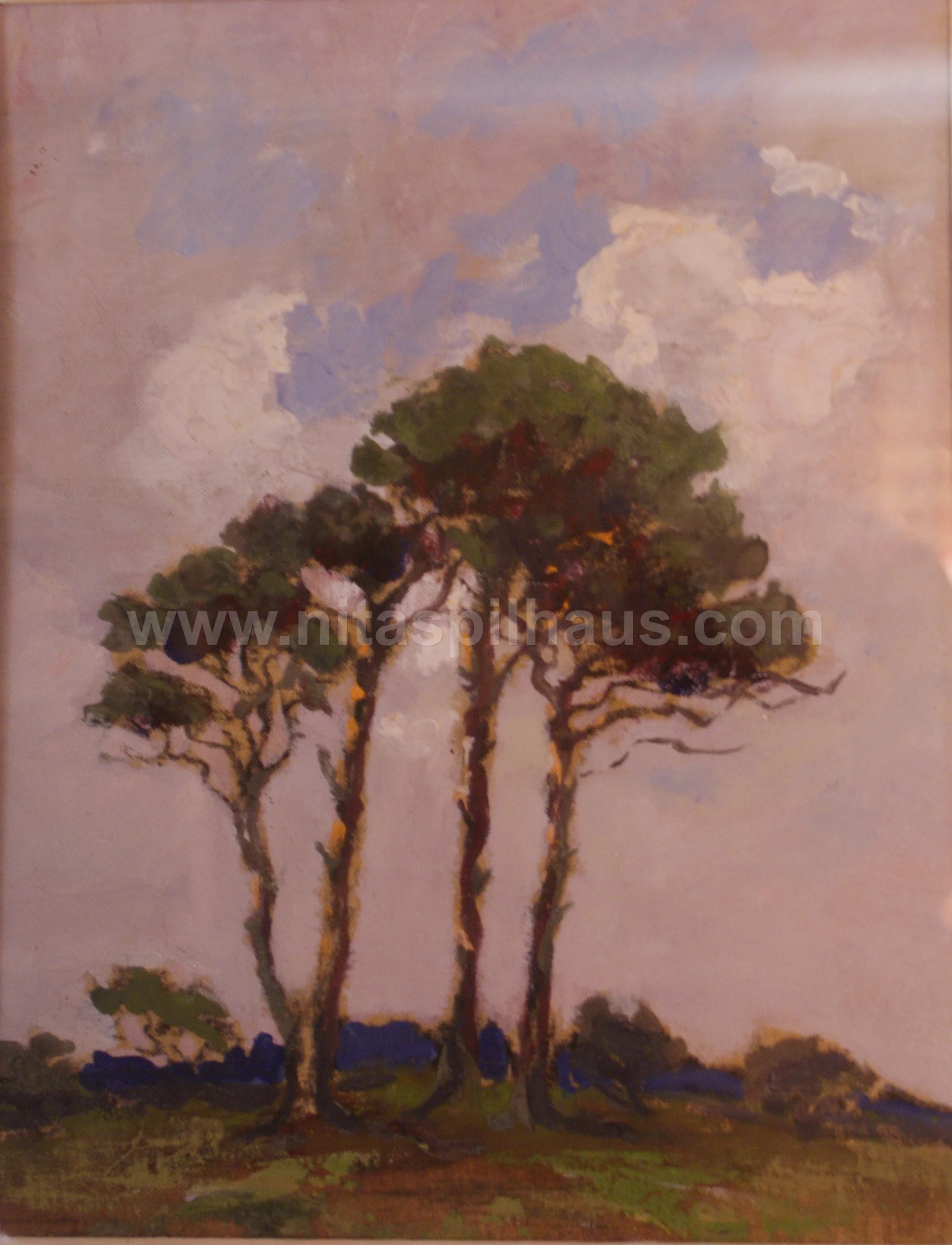 Pine Trees Oil on Canvas 1950 23 x 18 Collector 7