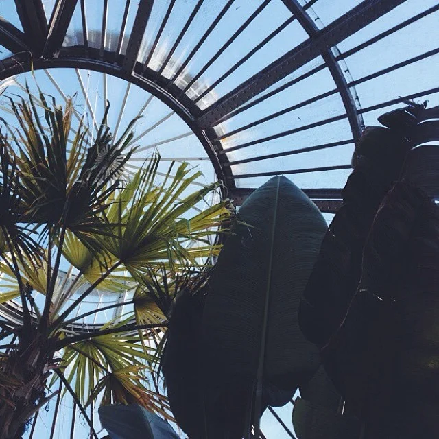 #vscocam #botanicgarden