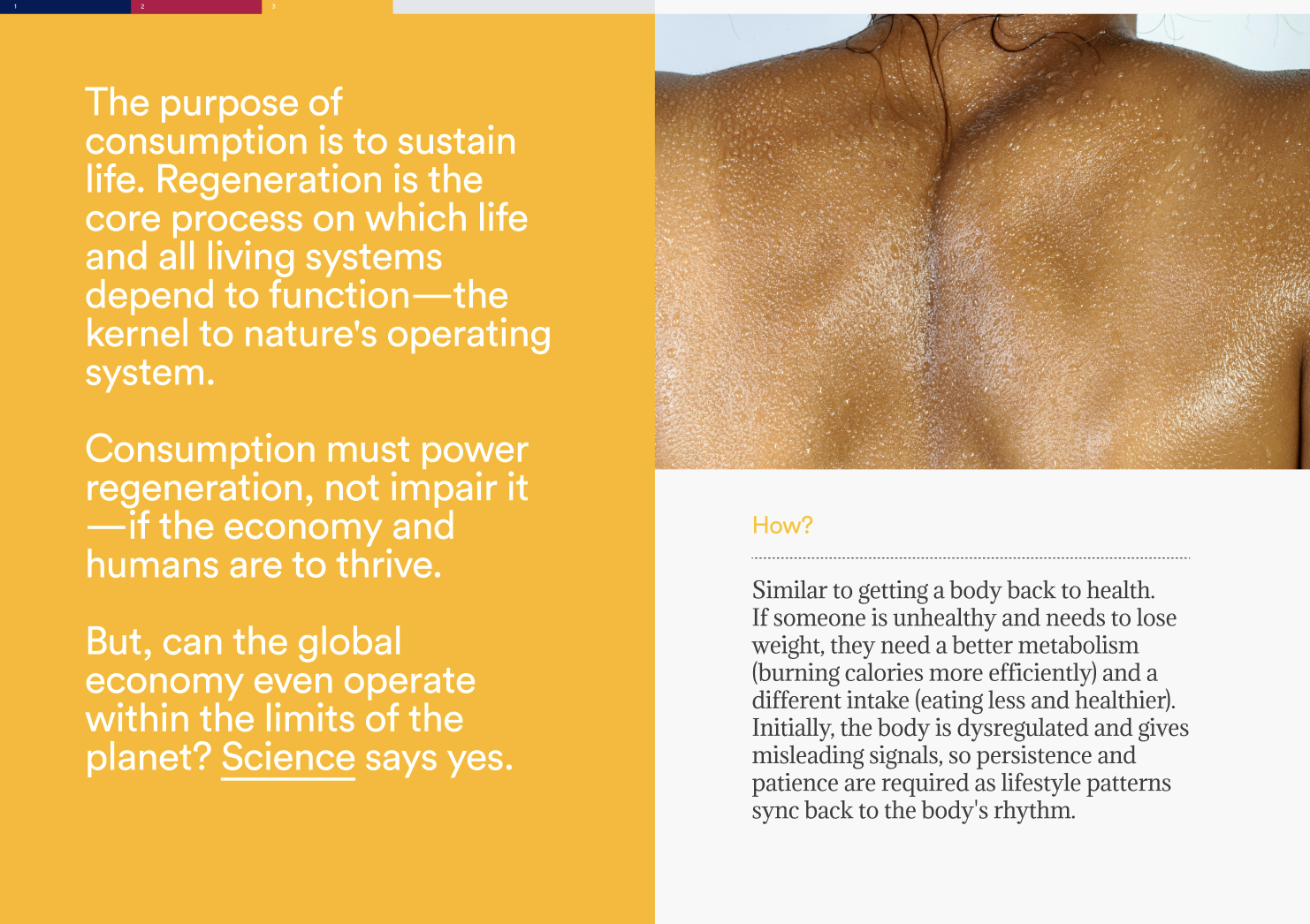 Screenshot 2026-02-17 at 11.46.39.png