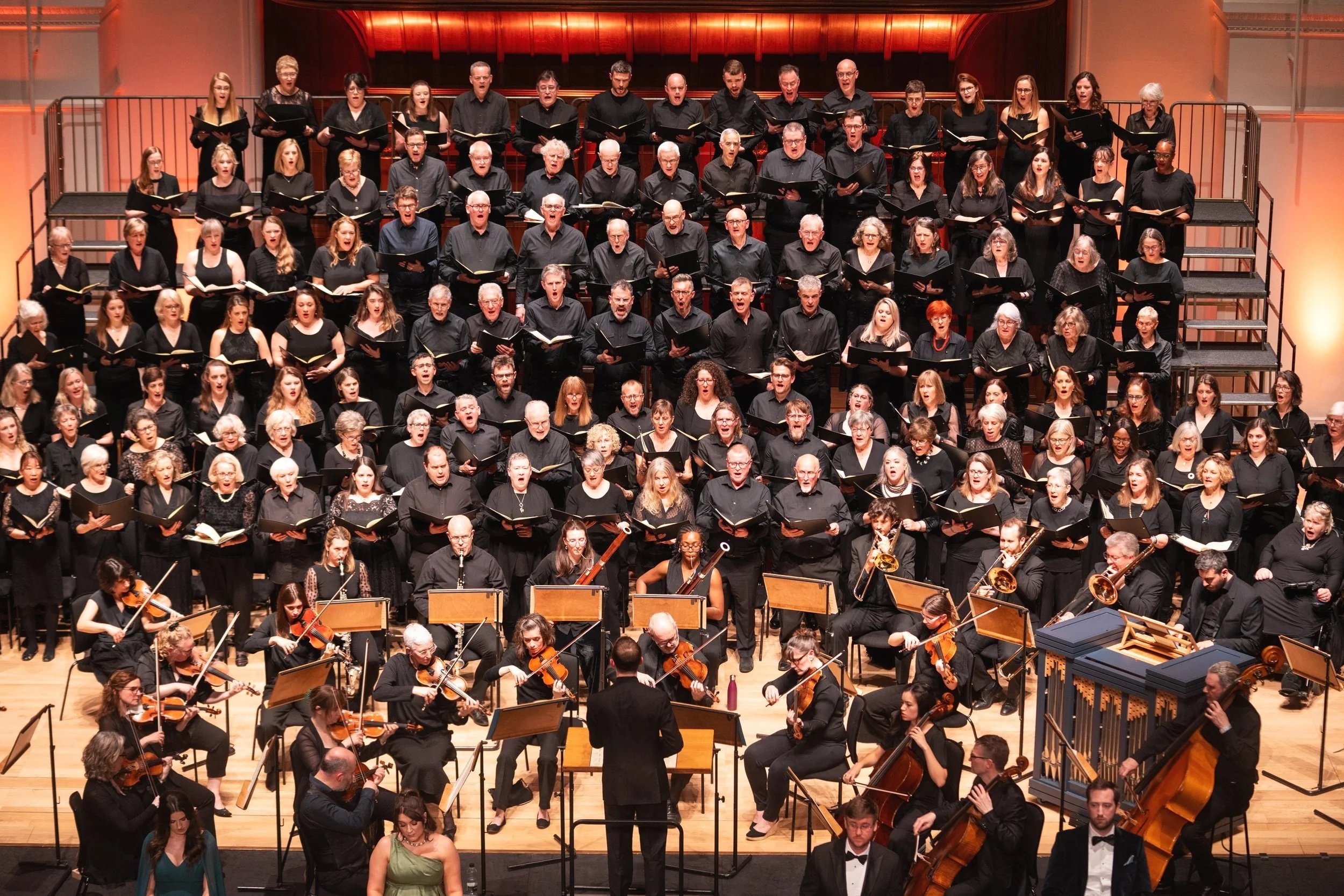 Brandenburg Sinfonia in Haydn's Creation