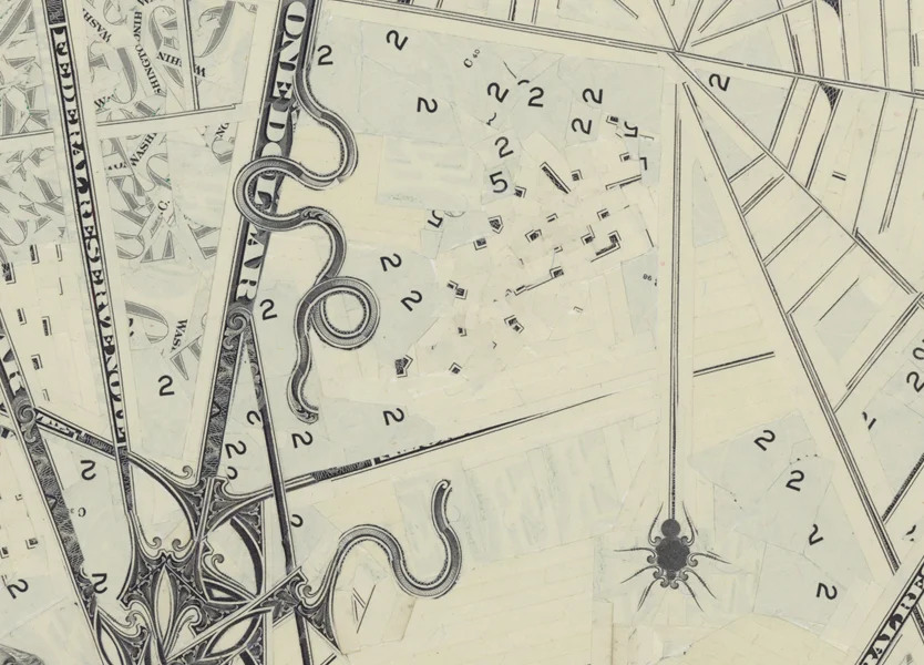 MW_FF_SPIDERSANDFLIES3.jpg