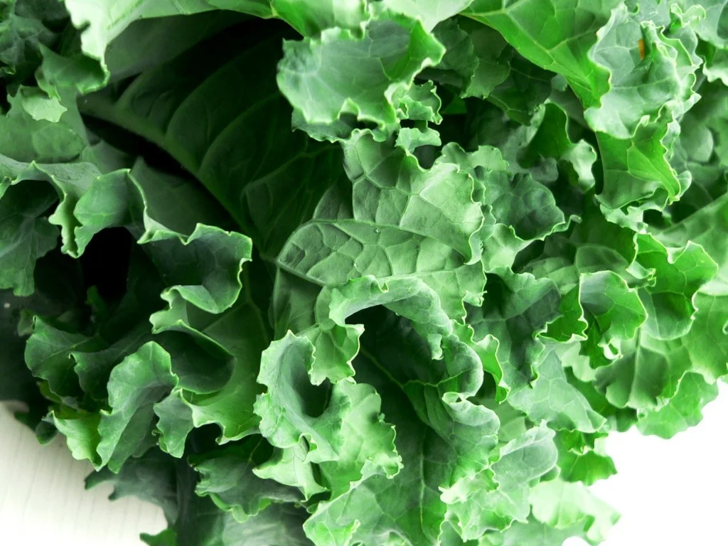 Kale21.jpg