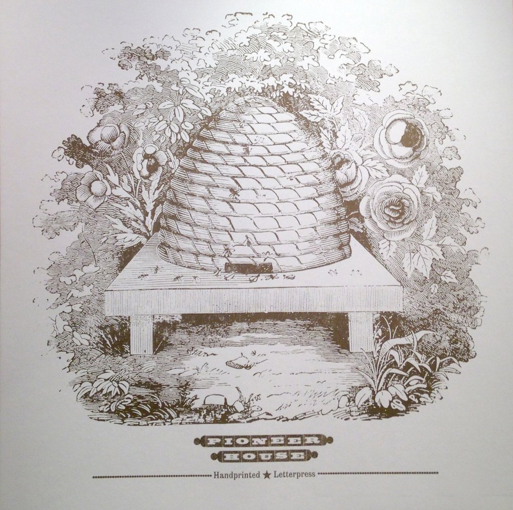 image-asset.jpeg?format=1000w