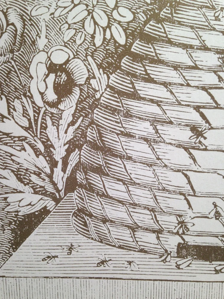 BEE HIVE Poster — Pioneer House