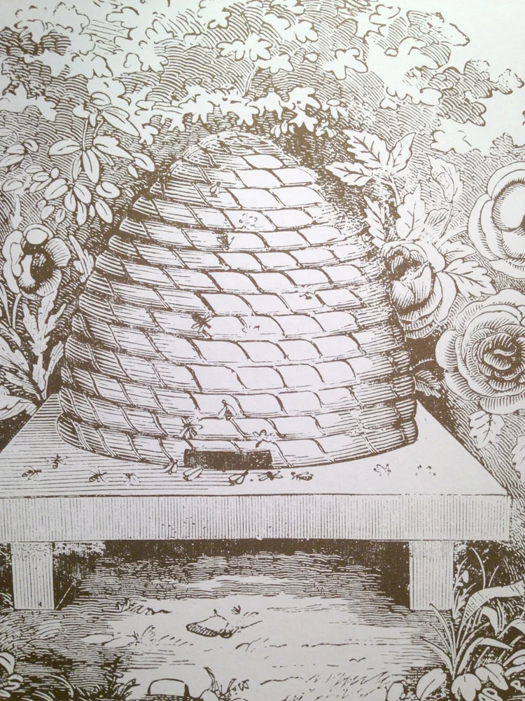 BEE HIVE Poster — Pioneer House