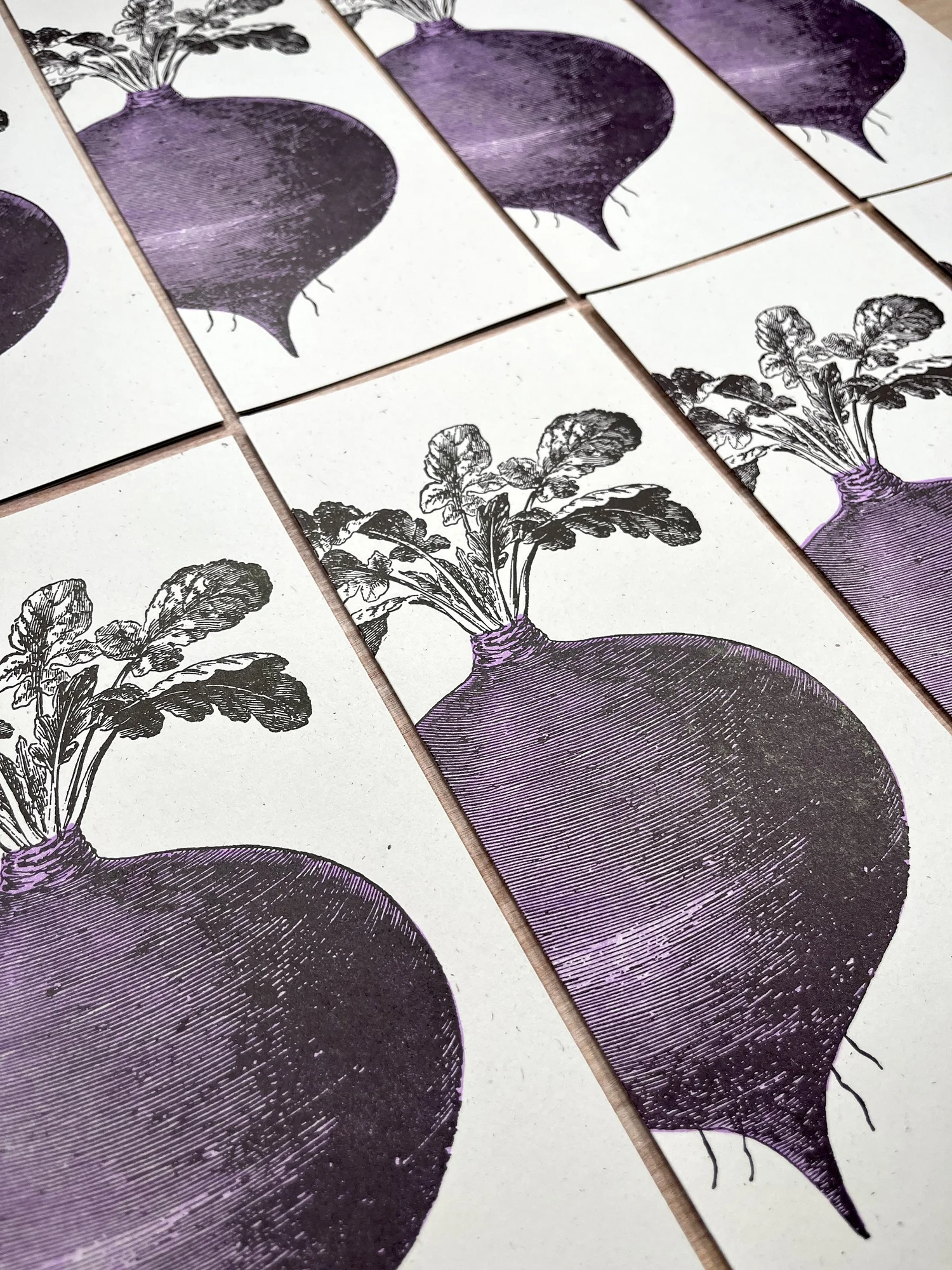 BEET 8 Note Cards #10 size — Pioneer House