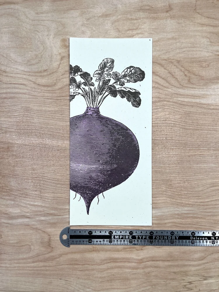 BEET 8 Note Cards #10 size — Pioneer House