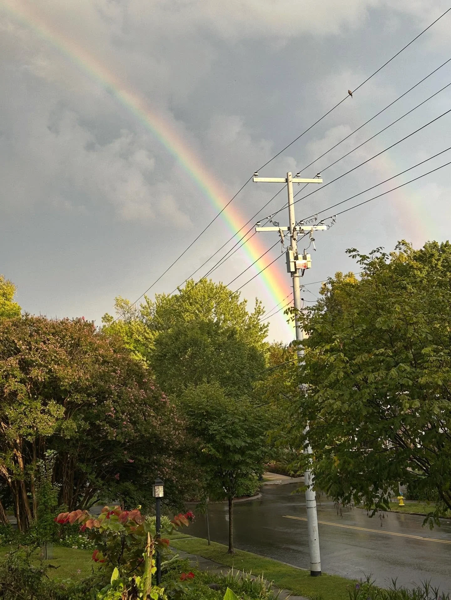 Double 🌈