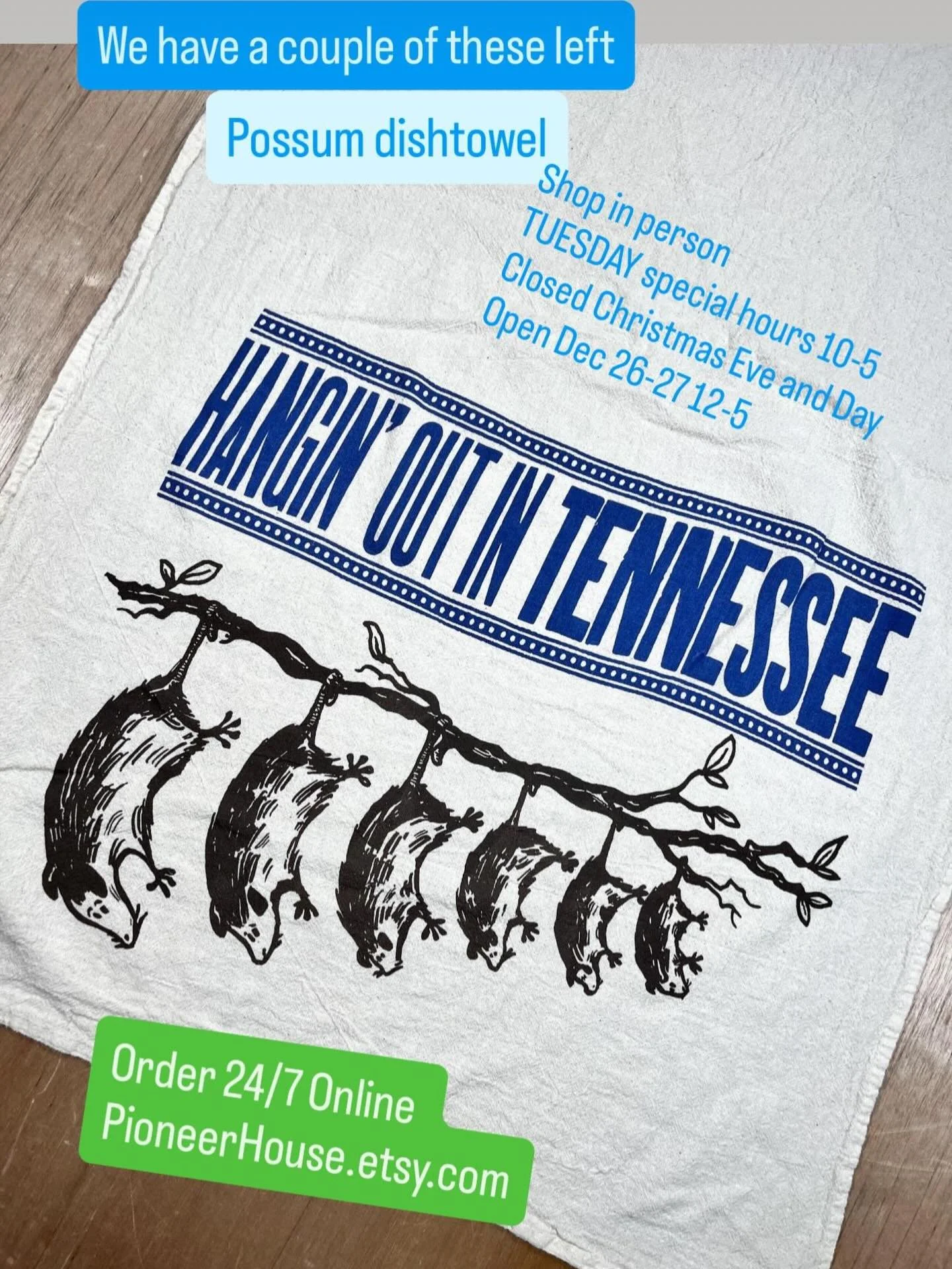 My dog tree&rsquo;d I went to see, some possums hangin out in Tennessee!!! #possumart #opossumsofinstagram #possumlove #possumcore #possumvibe