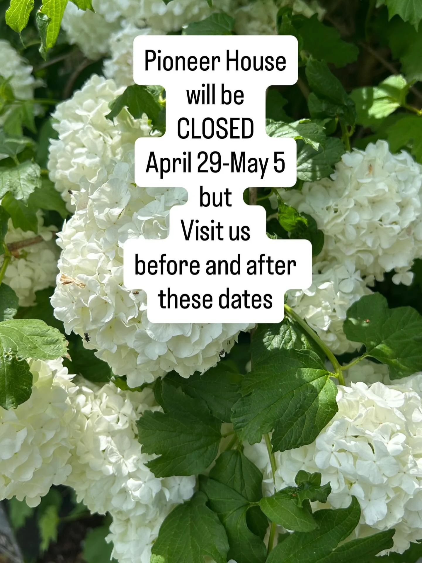 Howdeeeee - We will be closed later this month - please plan ahead so you don&rsquo;t miss us. 💚🤍💚🤍 Have a great day!