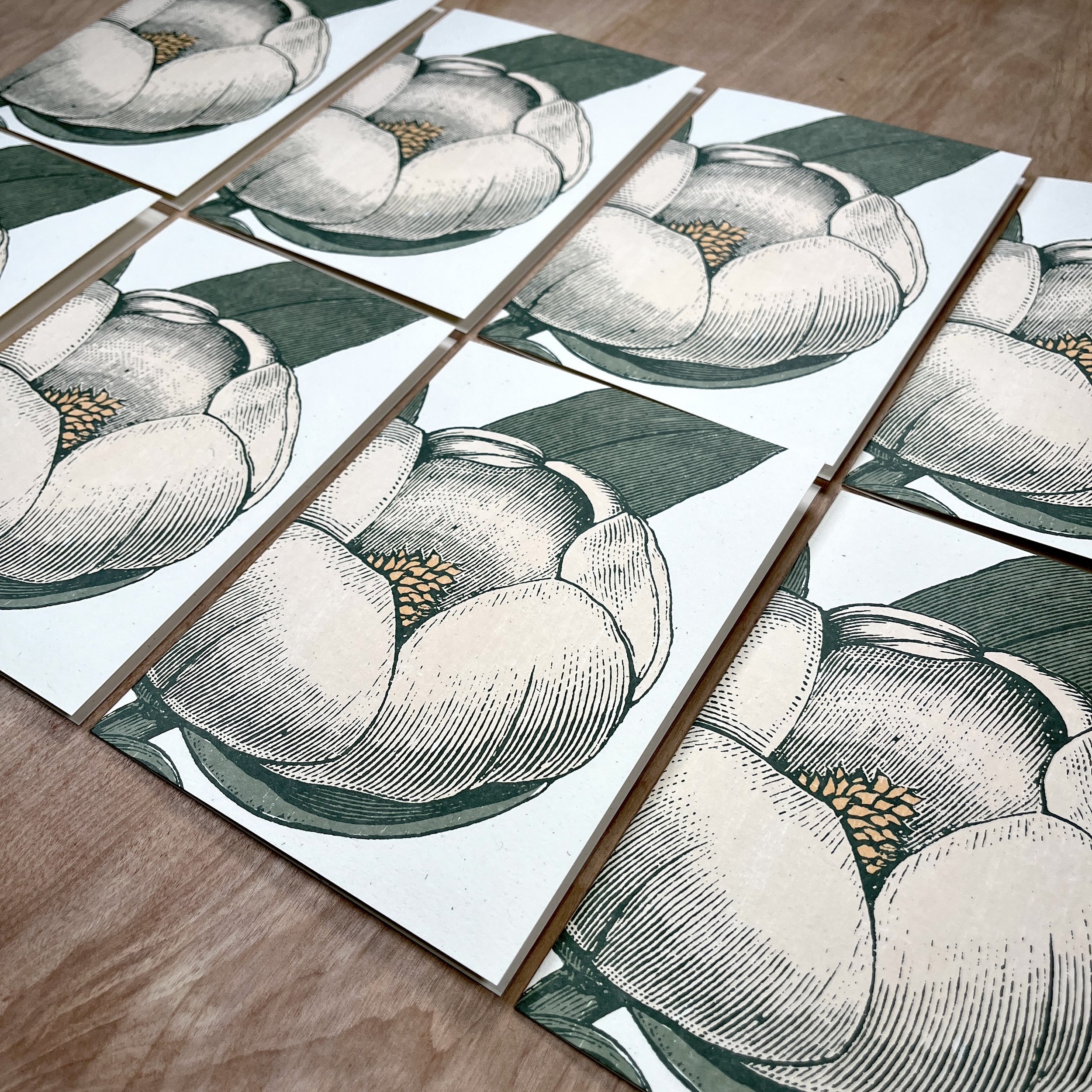 WHITE MAGNOLIA 8 Note Cards