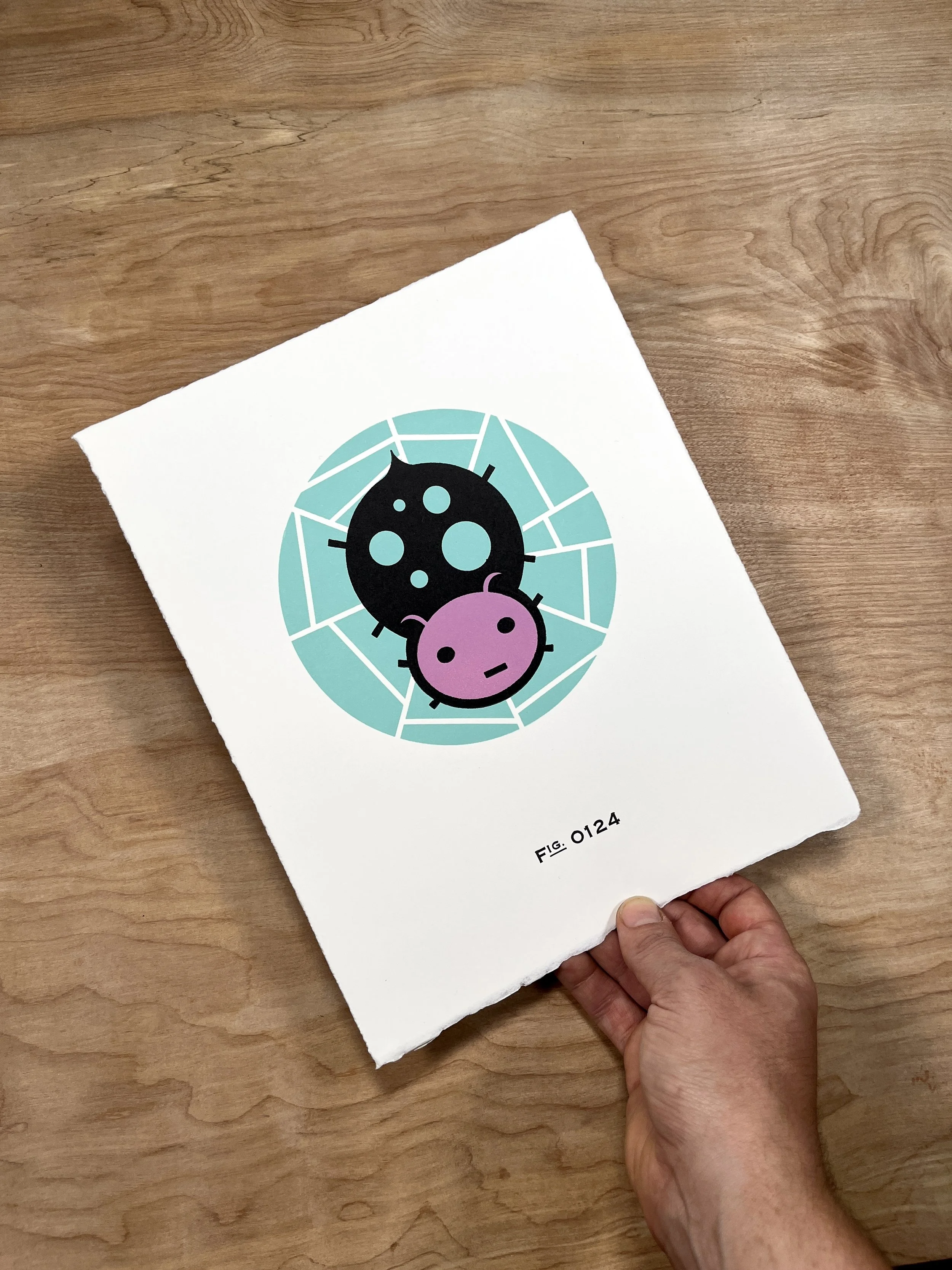 Cute SPIDER in WEB 8x10 Art Print