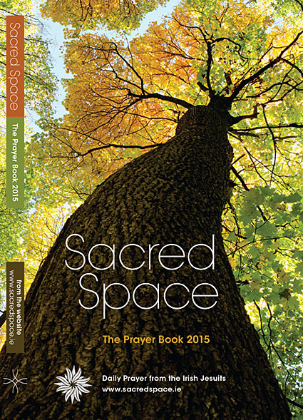 Sacred-Space-2014_Veritas.jpg