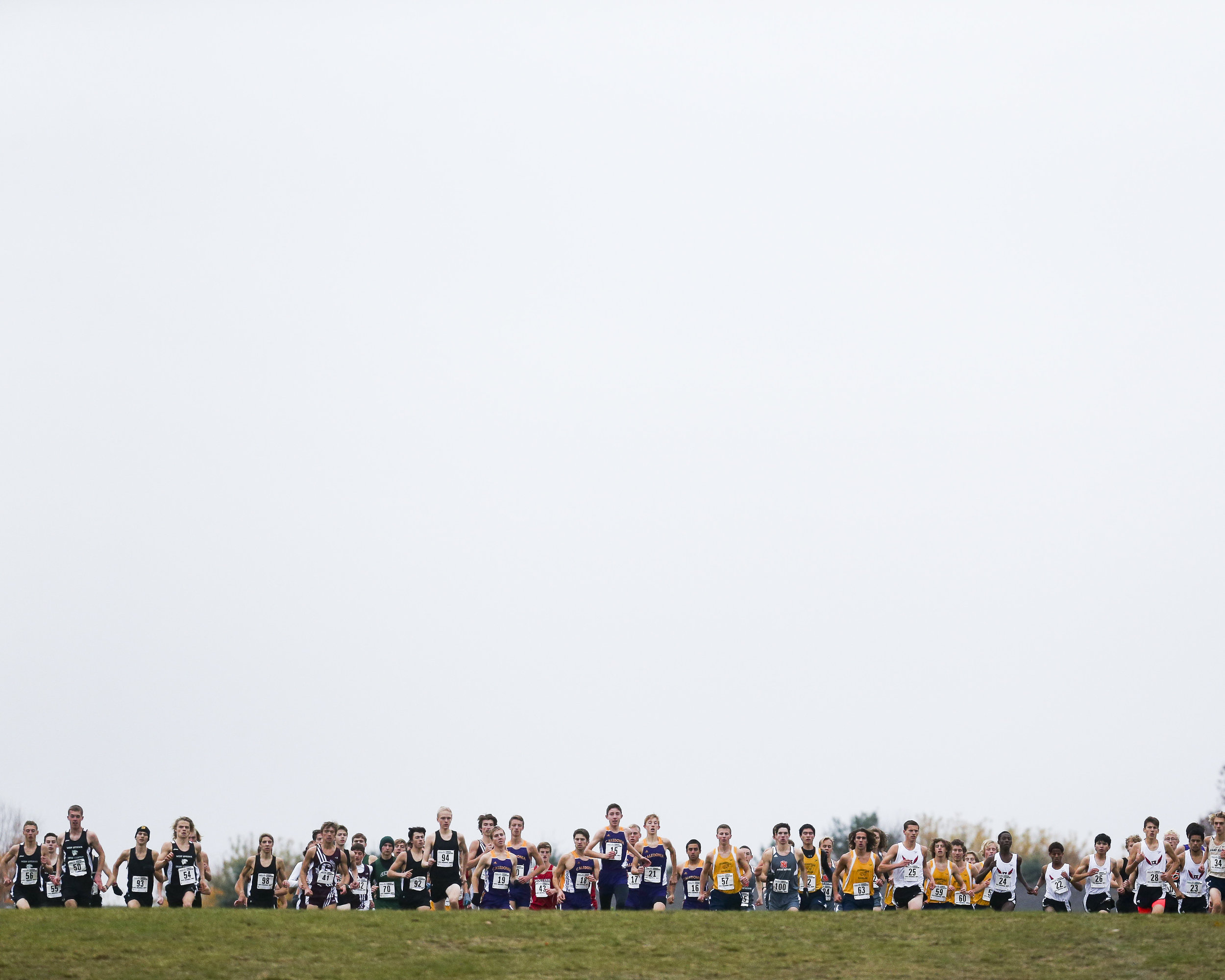 Runners make their way up a hill during the Portage Central boys and girls Cross Country Regional at Portage West Middle School in Portage, MI on Saturday October 31, 2015. 