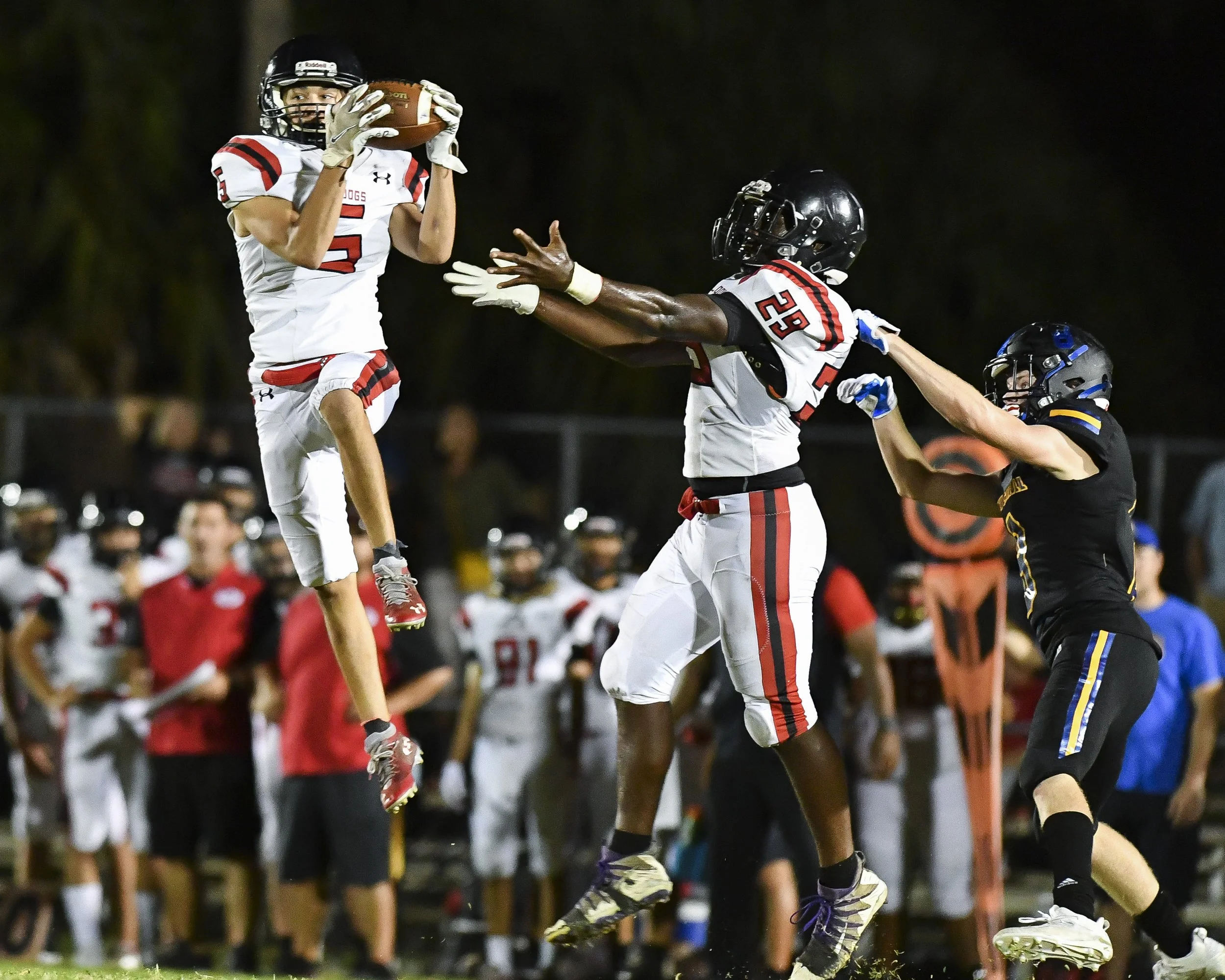 Crystal Vander Weit_2021 end of year_07.JPG