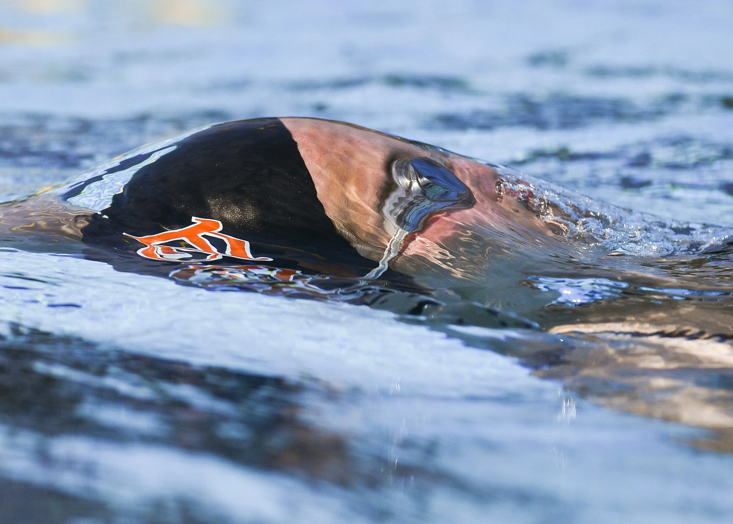 Crystal Vander Weit_2021 end of year_10.JPG