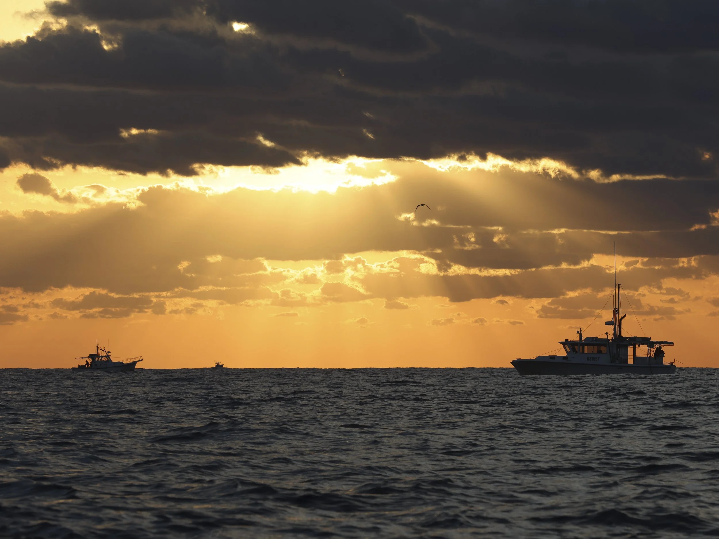 TCN PORT SALERNO FISHERMAN_57.jpg