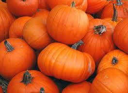 Delicious Orchards Pumpkin Fest