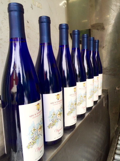 Vignole 2015 is in the blue bottle and will be on the tasting table soon