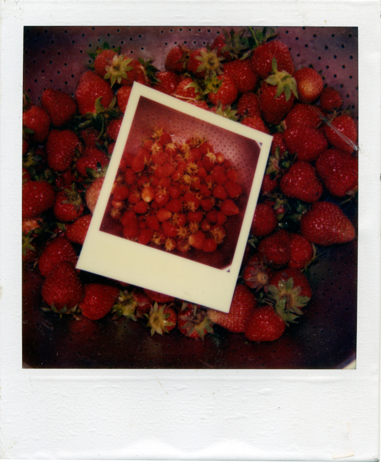    Strawberries upon strawberries   