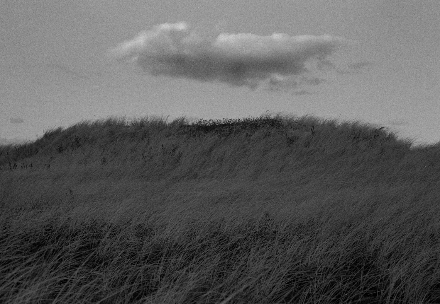   Cloud over Long Beach. More in album    NATURE   