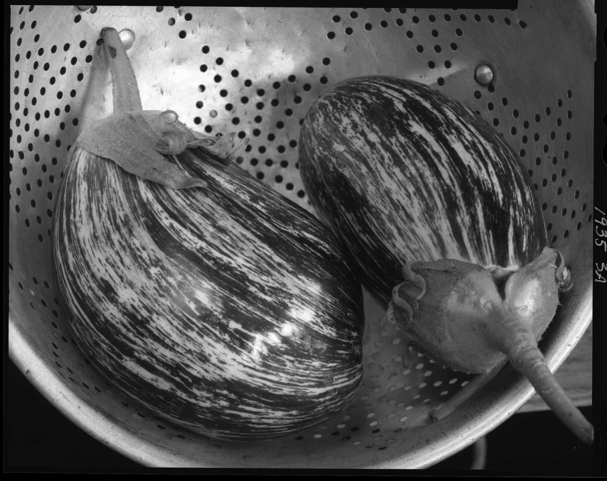    Eggplant as jester.   More images in  STILL LIFE  