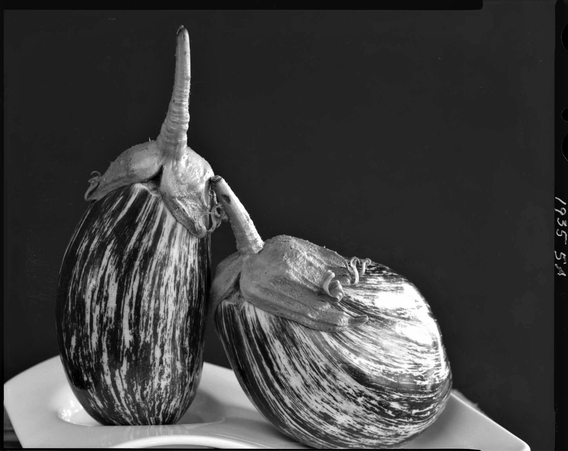  Striped eggplant, from the Produce Series 