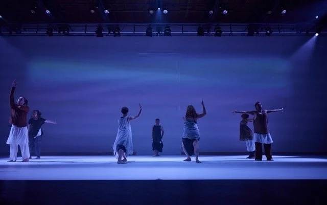 Heidi_Latsky_Dance_118 Medium.jpeg