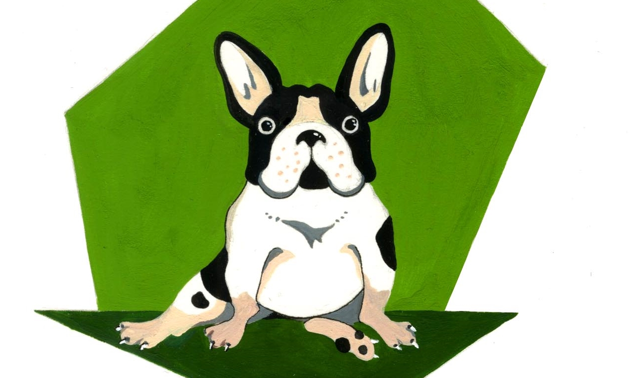 webFrenchie.jpg