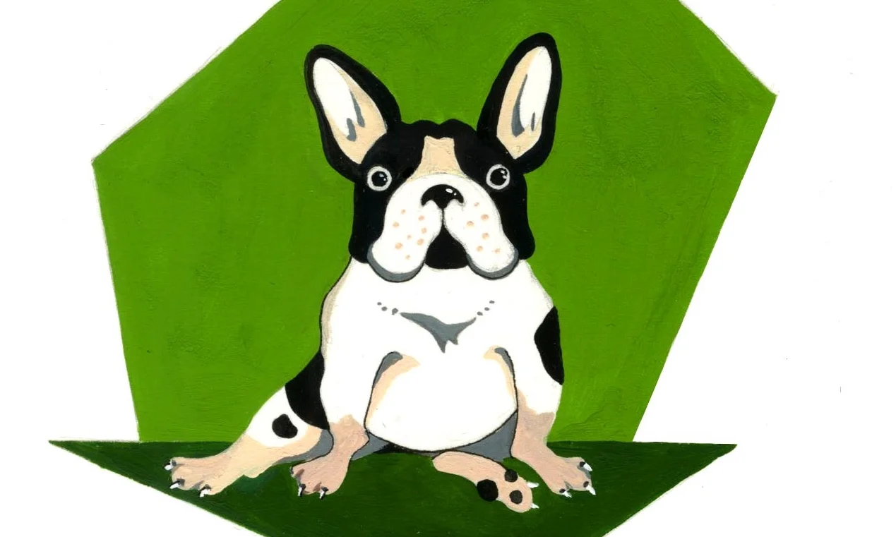 webFrenchie.jpg