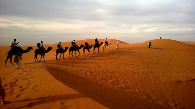 caravan-desert-safari-dune-53537.jpeg