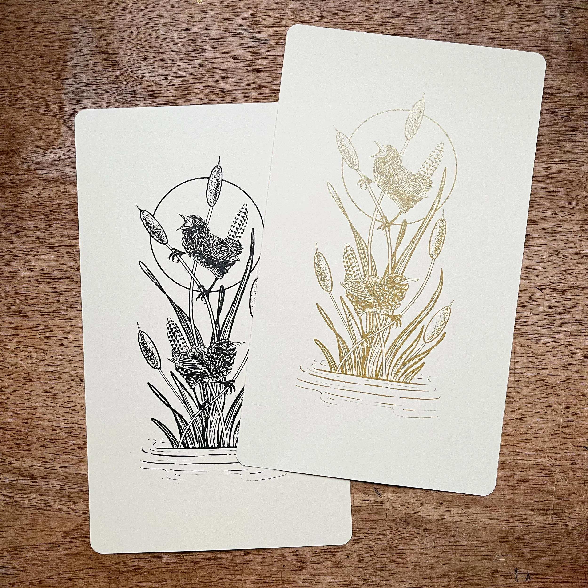 AfterlightImage 3.JPG