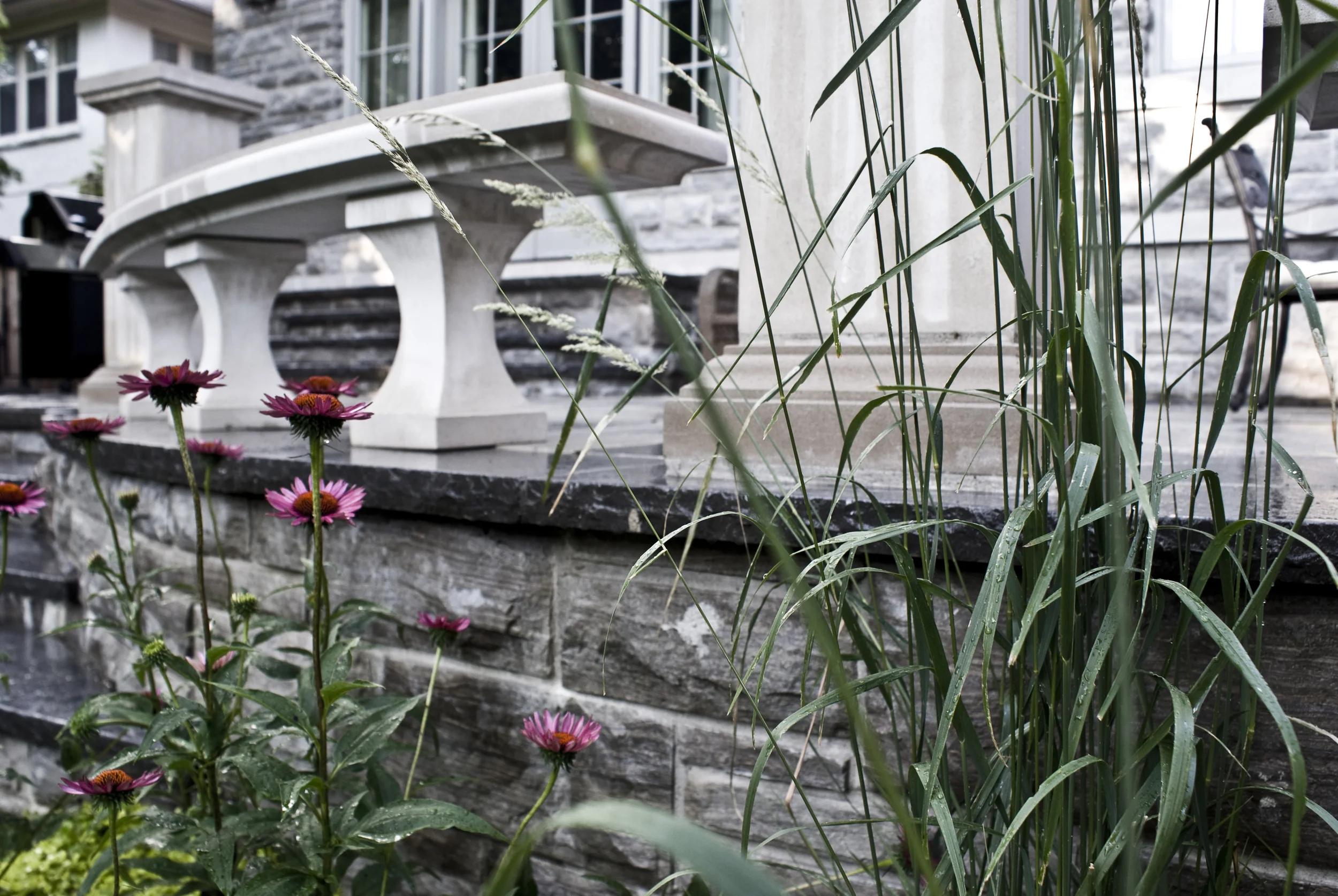 Forest Hill - Rosemary Road Rear Garden.jpg