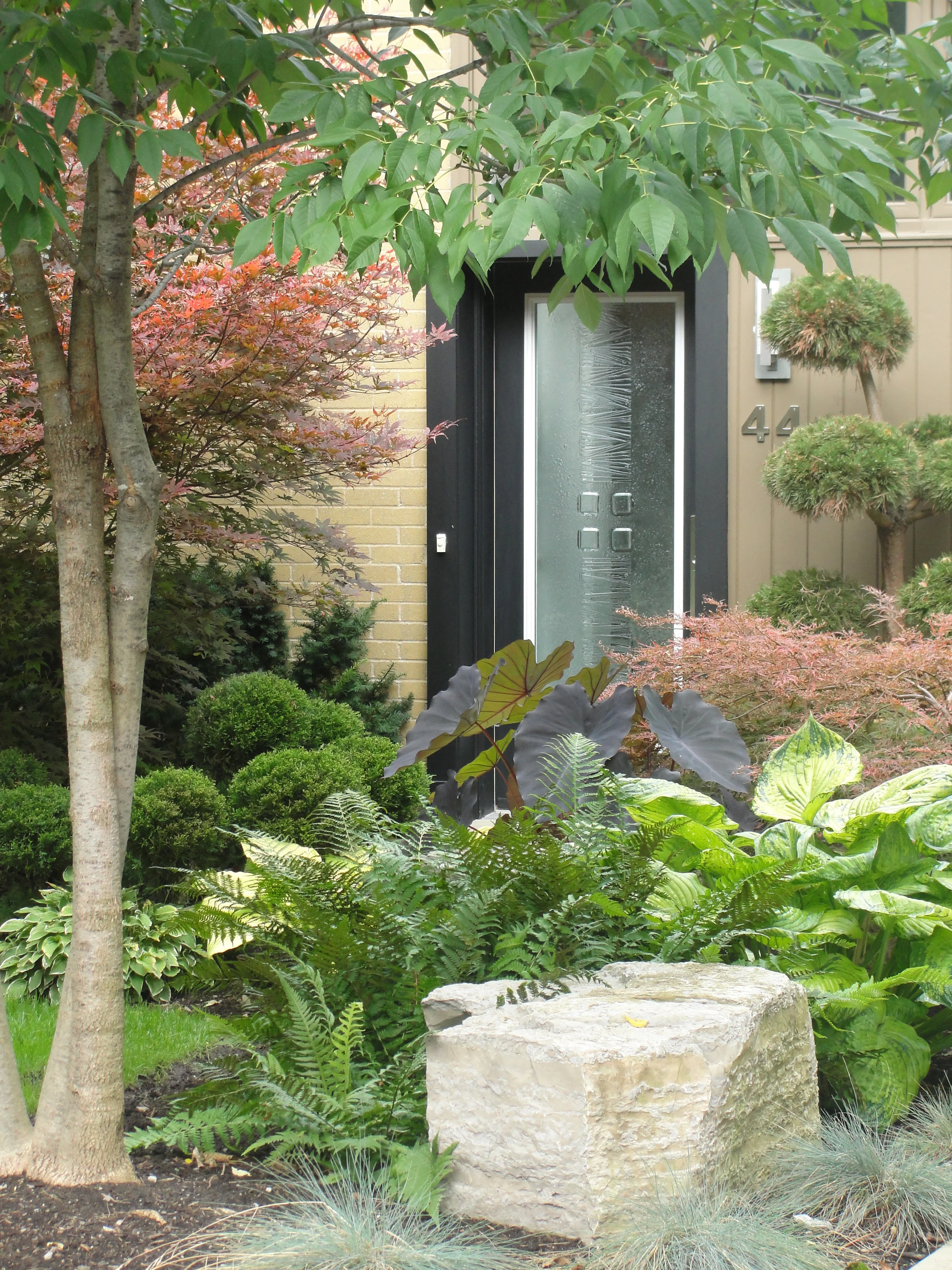 Contemporary Shade Garden Design