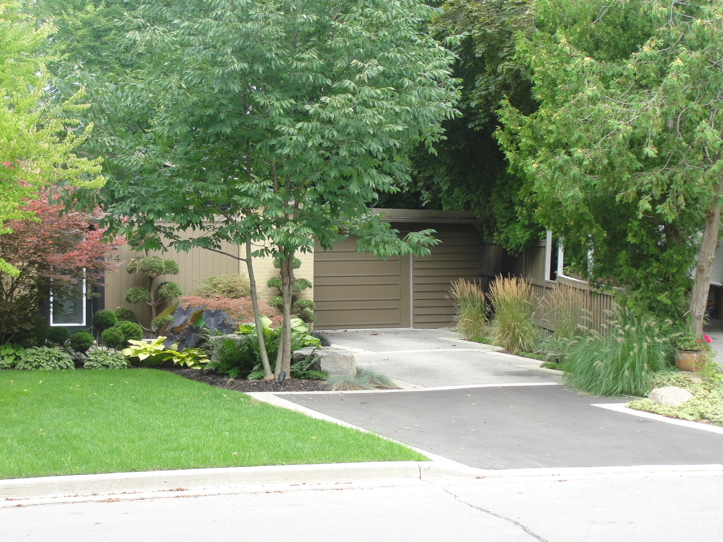 Contemporary Asphalt Driveway and Front Yard Design