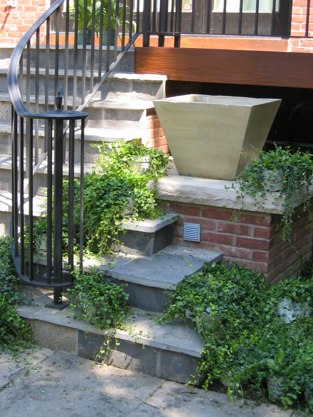 Rosedale - South Drive Entrance Steps.jpg