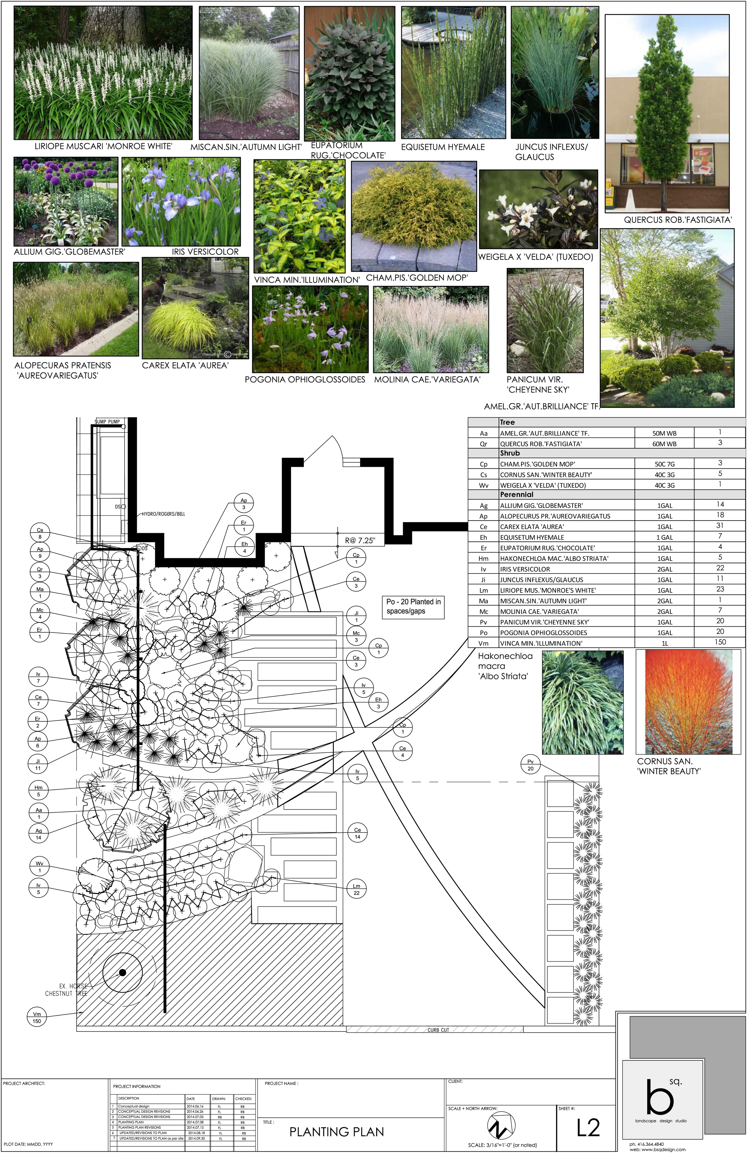 D:\B. Sq. general files\Projects 2014\244 Cameron\244 Cameron Se