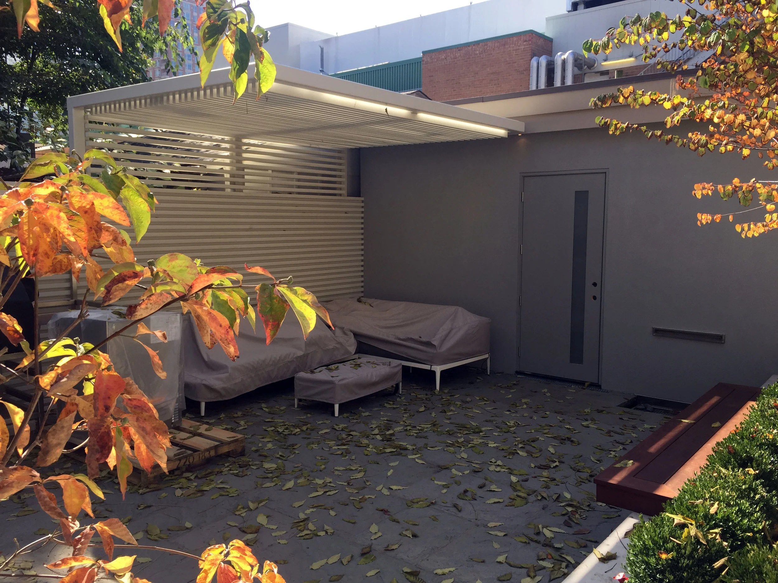Fall Pergola.jpg
