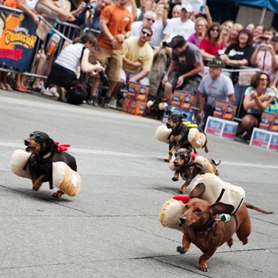 Running of the wieners. Photo courtesy www.oktoberfestzinzinnati.com. 