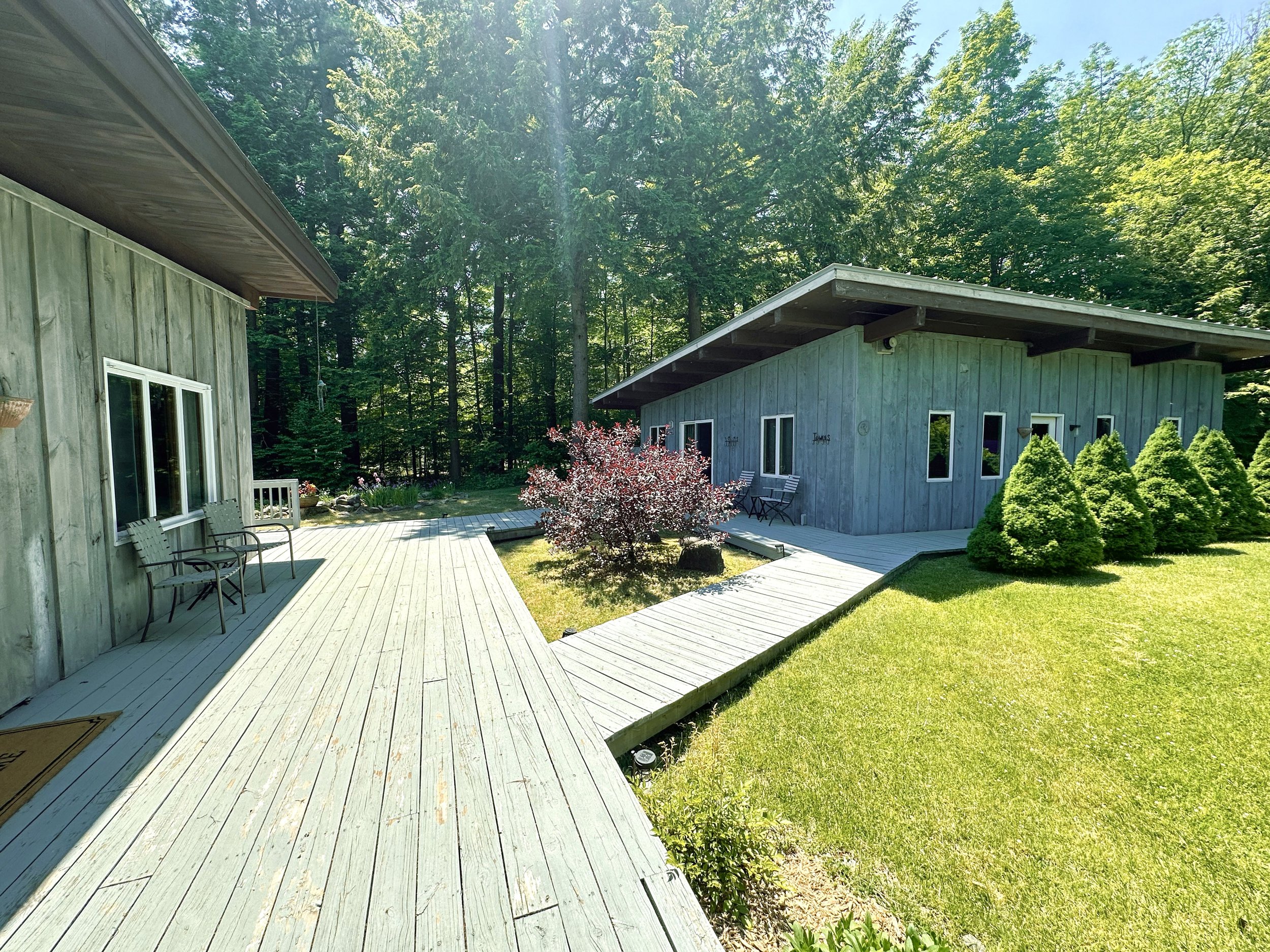 Backyard with wooden deck, green lawn, small tree, and two modern houses surrounded by trees.