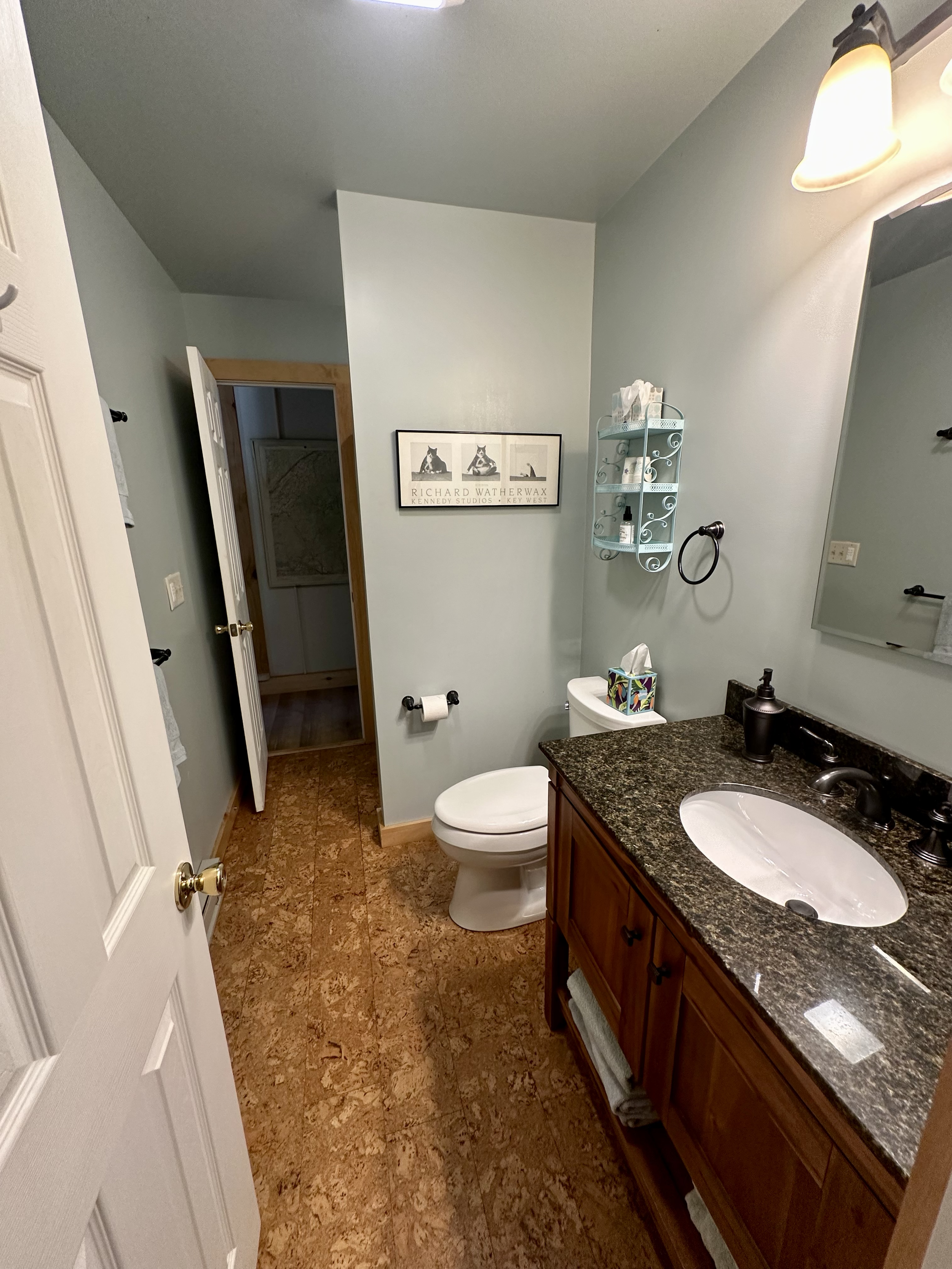 A small bathroom with light green walls, a granite countertop with a white sink, wooden vanity with towels underneath, a toilet with a tissue box on top, a framed picture on the wall, a wall-mounted shelf with toiletries, a mirror, and a partial view