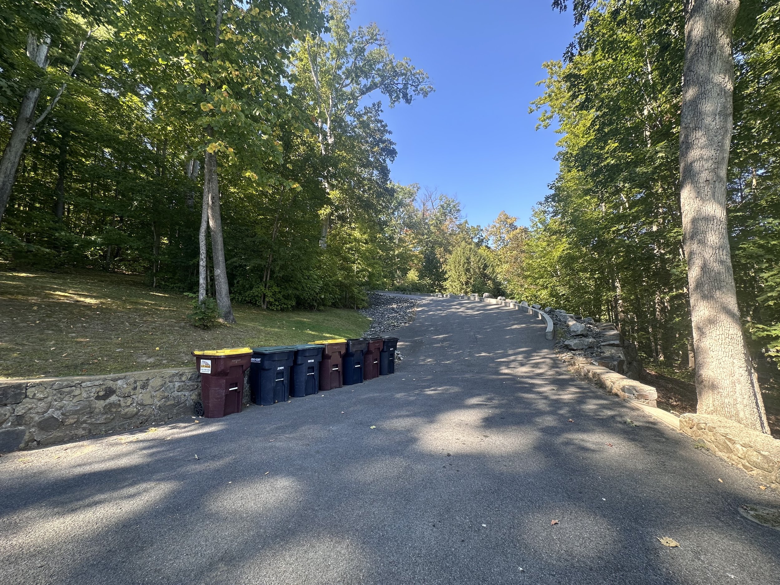 A paved road curving uphill through a wooded area with tall trees on both sides, lined with large rocks and a row of garbage bins on the left side.