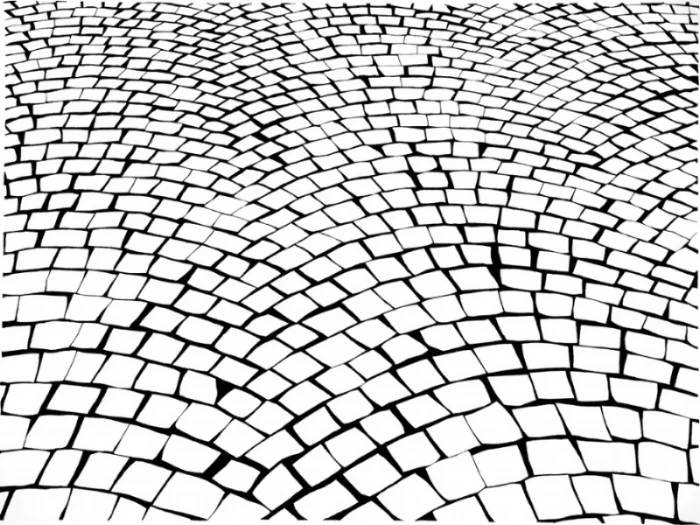 Alexis Dahan, Cobblestone (paris) , 2016, charcoal on paper, 50 x 38 in