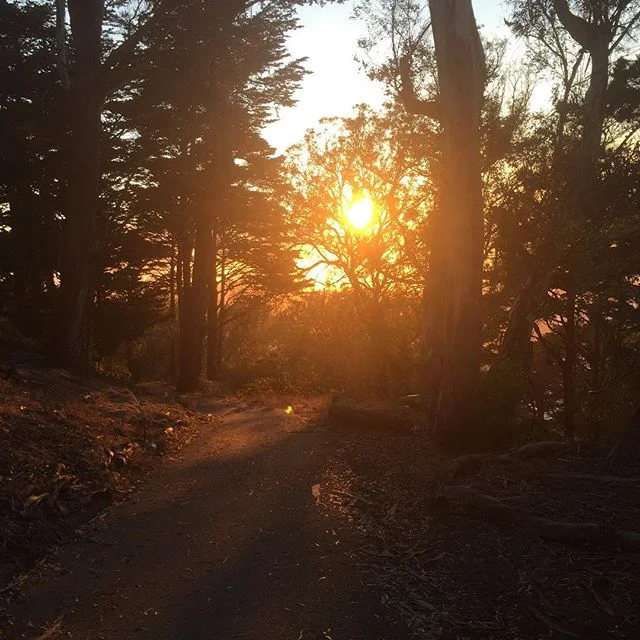 Night hike with @jcorbello