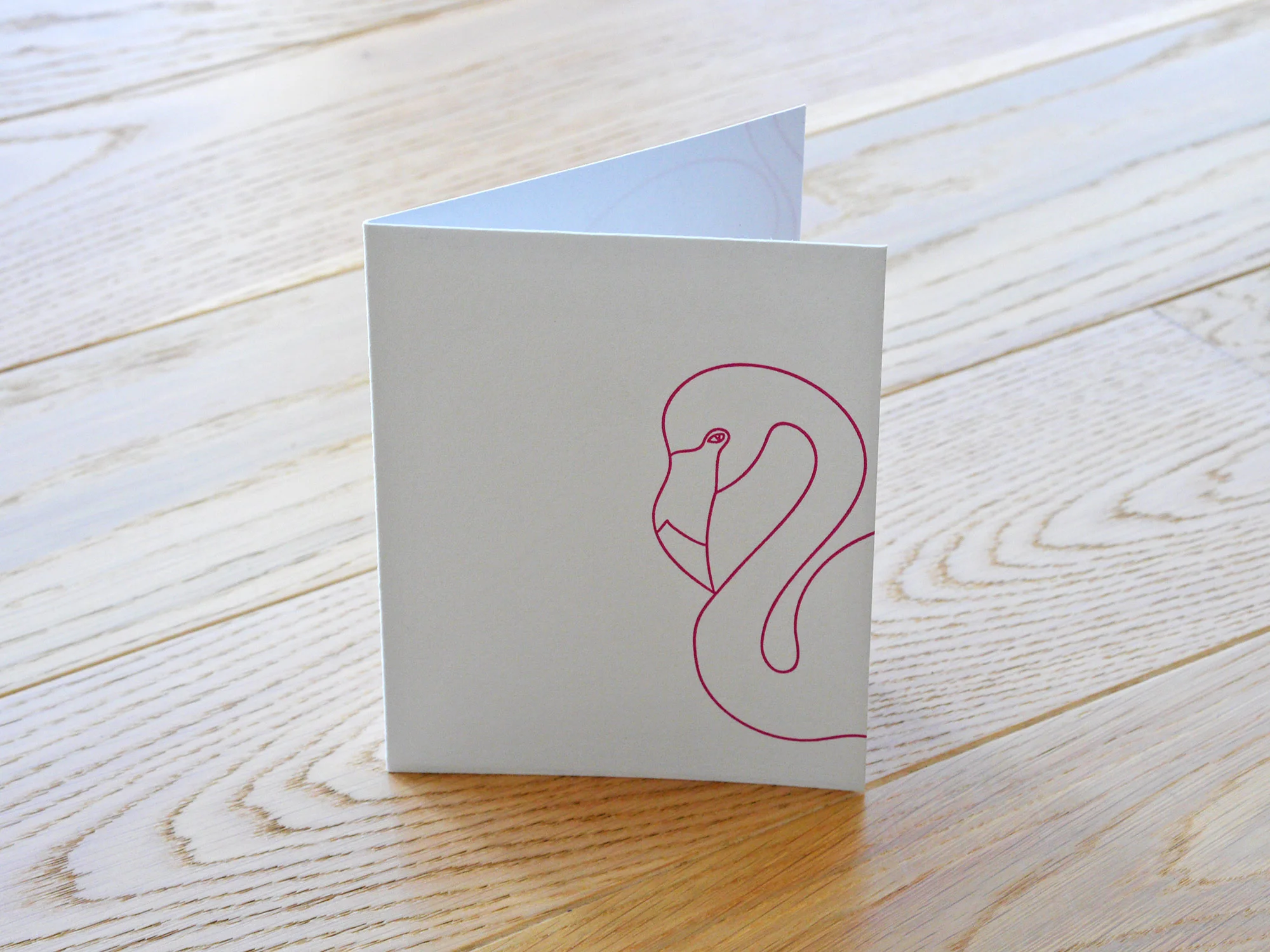 flamingo_front.jpg